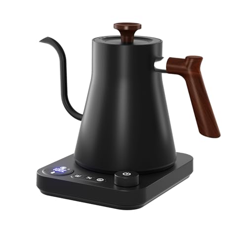 BQEUCE Black 0.9L Gooseneck Electric Kettle, Precise Temperature Control