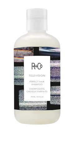 R+Co Television Perfect Hair Shampoo 8.5 Fl Oz - Dark Waves Scent, Hydrating & Vegan
