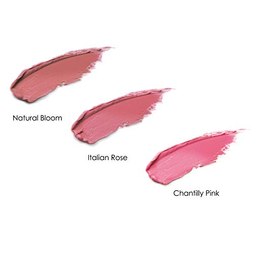 3-in-1 Botanical Cream Blush Stick - Natural Face Makeup in Chantilly Pink