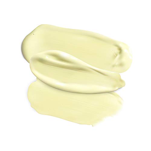 Retinol Face Cream 2.5% Organic Anti-Aging Moisturizer for Dry Skin - Passport to Organics