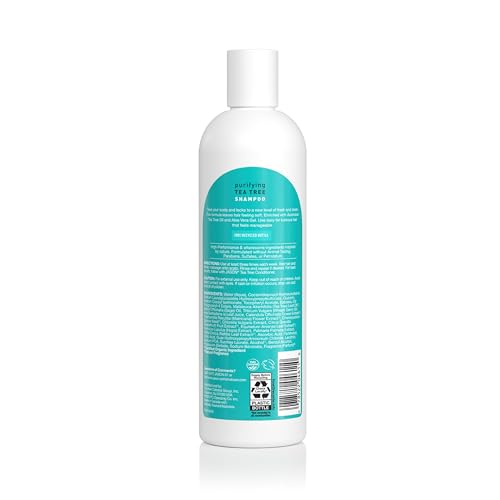 Jason Tea Tree Shampoo 12 oz