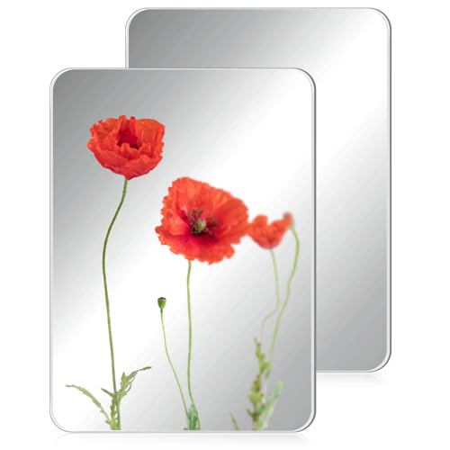 Blulu Magnetic Locker Mirror 8 x 12 Inches - Pack of 2
