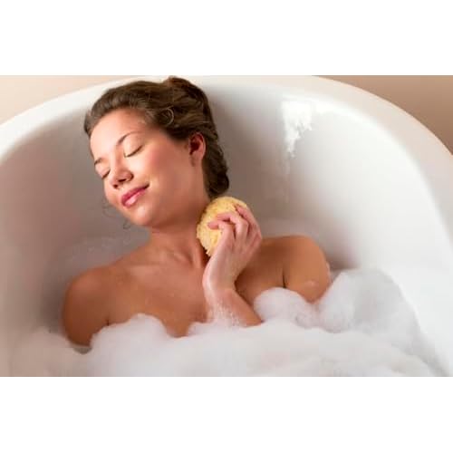 Spa Destinations Natural Sea Wool Sponge 5-6" Natural Renewable Resource Bath & Shower