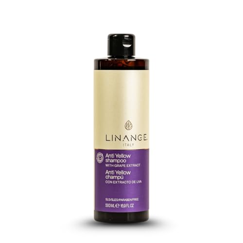 Anti-Yellow Blonde Hair Shampoo with Grape Extract & Violet Pigment - 16.9 oz - Pack of 1