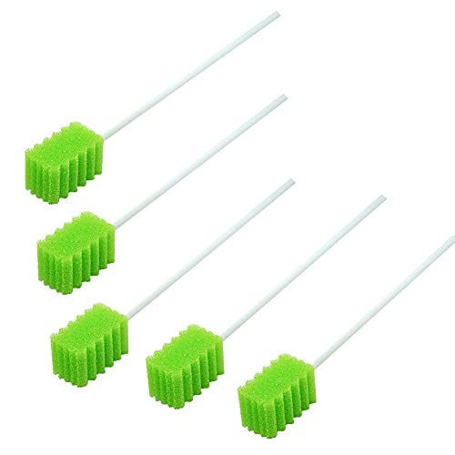 250 Pack Fruit Green Latex-Free Dental Mouth Swabs with Long Handle - Individually Wrapped, Oral Cleaning Sponge