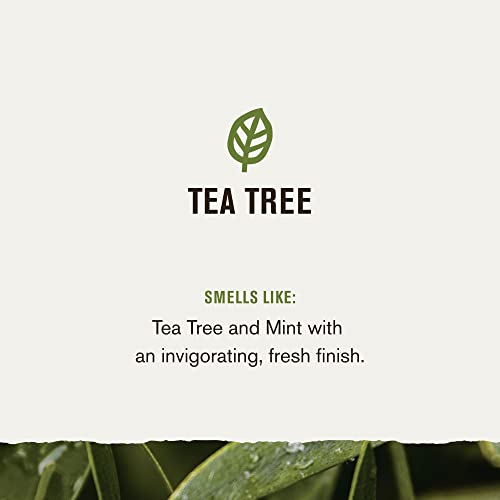 Every Man Jack Tea Tree Mens Thickening 2-in-1 Shampoo + Conditioner - Restore Thickness, Cleanse, and Condition - Made with Naturally Derived Ingredients - Paraben Free, Dye Free