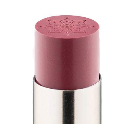 VASANTI Best Balm Forever Tinted Lip Balm - Hydrating Natural Oils & Butters - Neutral Plum Brown - Vegan & Paraben-Free - Bestie Variation