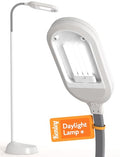 Gray Kenley Natural Daylight Floor Lamp with Adjustable Gooseneck