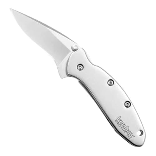 Kershaw Chive Pocket Knife - 1.9 Inch Blade, Assisted Opening, Made in USA - 1600 / Pocketknife