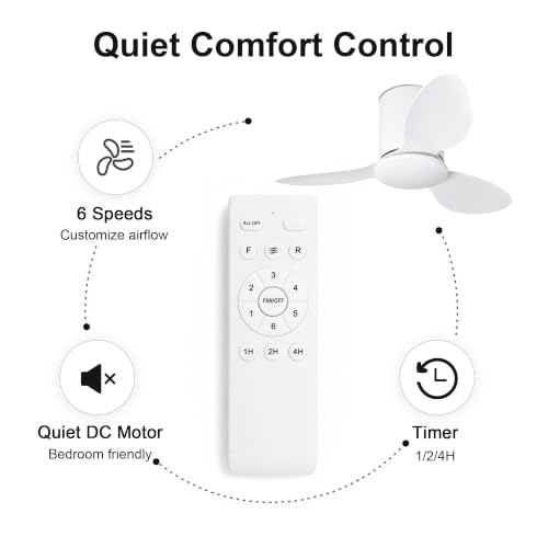 25 Inch Small Ceiling Fan Without Light, Low Profile, White - Quiet & Energy-Efficient