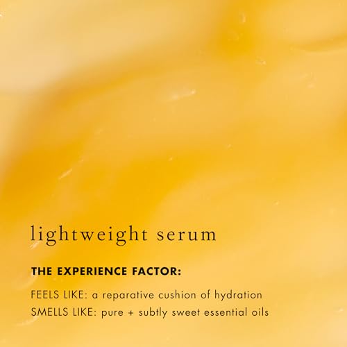Lip Serum with Shea & Squalane - Hydrating Lip Moisturizer, Vegan & Gluten-Free
