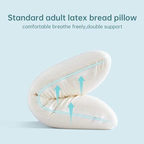 Queen (Mid Loft) Talalay Latex Pillow - Natural Cooling Support for Side, Back & Stomach Sleepers