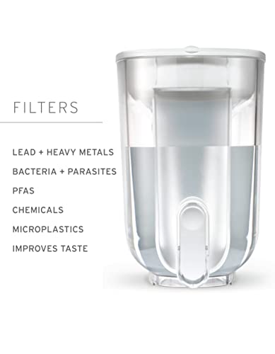 LifeStraw Home 18-Cup BPA-Free Water Filter Dispenser with Microfilter