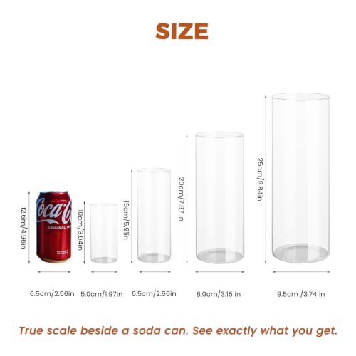 Sandraheer 48 Pack Clear Glass Cylinder Vases for Wedding & Event Decor - 4 Sizes