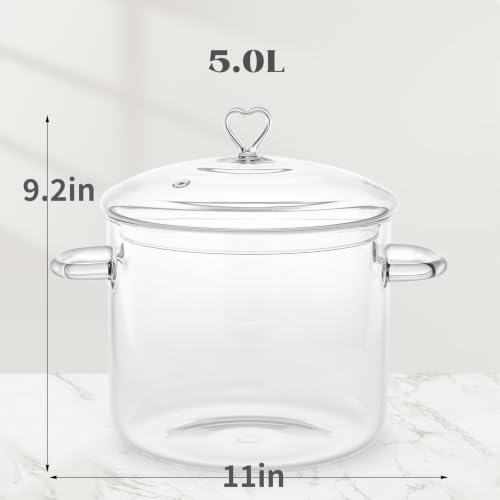 ZUFRIEDENIA 5.0L Glass Cooking Pot with Lid | Heat-Resistant, Transparent Kitchenware