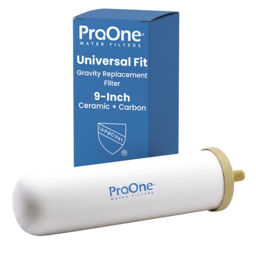 ProOne G-Series 9-Inch Gravity Water Filter Replacement - Microplastics & Lead, 1 Pack