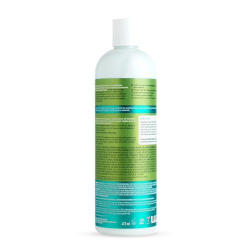 ORS Olive Oil Max Moisture Leave-In Conditioner with Rice Water and Electrolytes for Supercharged Hair Hydration 16.0 Ounce (Pack of 2)