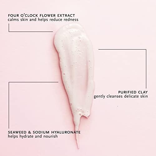 ARCONA Four O'Clock Flower Gentle Cleansing Cream - Moisturizing Face Wash for Sensitive Skin, Organic Lavender, Green Tea, Chammomile, Hyaluronic Acid, Vegan, Cruelty Free, 3.67 oz. Made In The USA