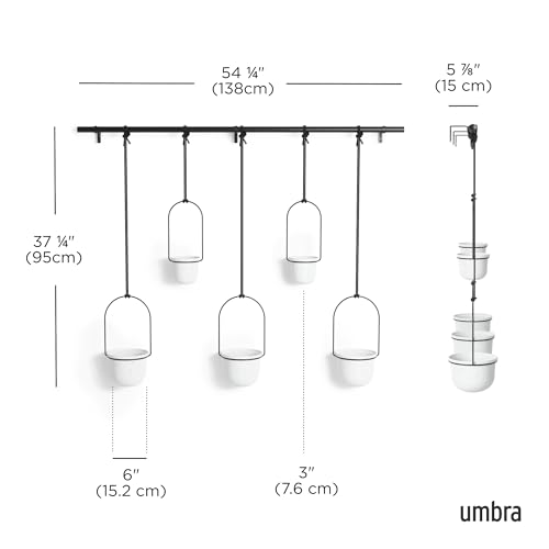 Umbra Triflora Hanging Planter Set of 5 - White and Black Indoor Window Herb Garden