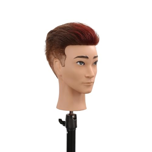 Stancia Dark Brown Male Mannequin Head with 100% Human Hair for Hairdressing Practice