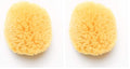 Natural Sea Sponge for Baby Bath 4-5 Inches Pack of 2 - Hypoallergenic & Eco-Friendly