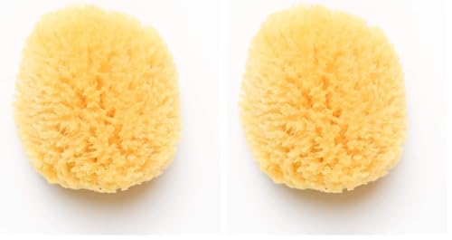 Natural Sea Sponge for Baby Bath 4-5 Inches Pack of 2 - Hypoallergenic & Eco-Friendly
