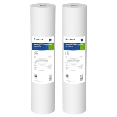 Pentair Pentek DGD-7525-20 Big Blue 20-Inch Sediment Filter Pack of 2, 25 Micron