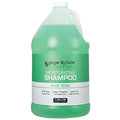 Ginger Lily Farms Aloe Vera Moisturizing Shampoo 128oz - Vegan, Cruelty-Free, Salon-Quality
