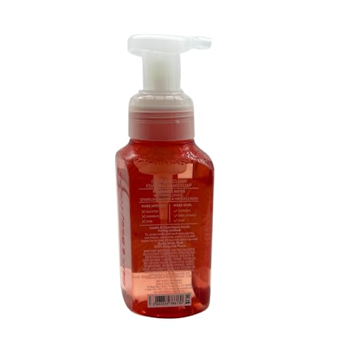 Foaming Hand Soap Duo - Watermelon Lemonade & Pineapple Prosecco, 8.75 fl oz each