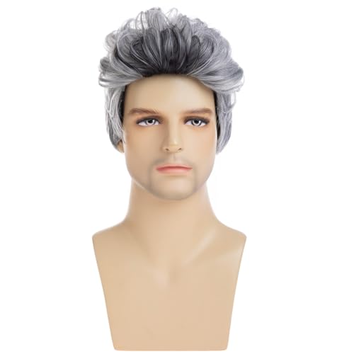 Men's Grey Wavy Wigs - Heat-Resistant Synthetic Party Halloween Cosplay Hair