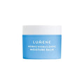 Hydrating Facial Balm with Hyaluronic Acid and Birch Sap - Vegan Moisturizer for Dry Skin