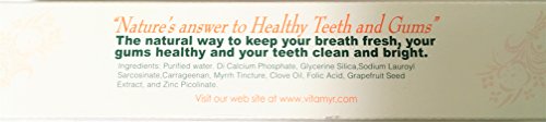 3 Pack Zinc Plus Toothpaste 4 oz No Fluoride SLS-Free Natural Oral Care