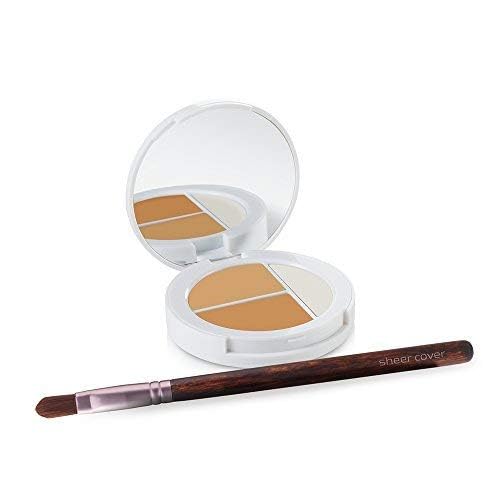Sheer Cover Studio ? Conceal and Brighten Highlight Trio ? Two-Toned Concealers ? Shimmering Highlighter ? Medium/Tan Shade ? With FREE Concealer Brush ? 3 Grams