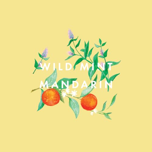 Neom Great Day Wonder Balm 12g | Natural Lip & Skin Moisturizer with Mint & Mandarin