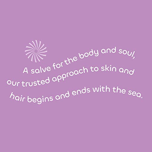 Seaweed Bath Co. Volumize Conditioner, Lavender Scent, 12 Ounce, Sustainably Harvested Seaweed, Green Algae, Barley Protein, For Normal to Fine Hair