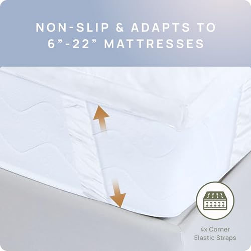 Queen Cotton Mattress Topper - White Plush 1200 GSM Extra Thick Pillow Top