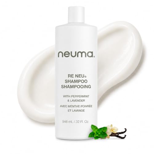 Sulfate-Free Moisturizing Conditioner with Shea Butter & Argan Oil - Vegan & Color Safe for Dry Hair