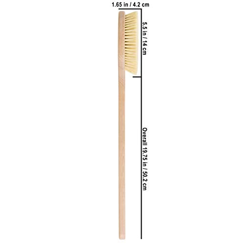 Long Handle Bath Brush with Tampico Bristles & Beechwood Handle - Made in Germany