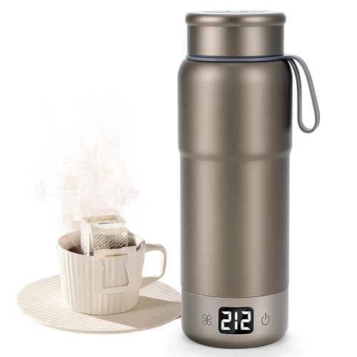 Gary 520ML Titanium Travel Electric Kettle - Dual Voltage 12 Temp Control Gray
