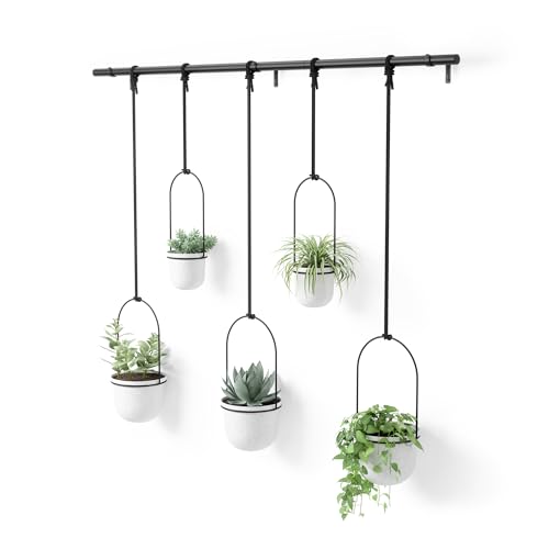 Umbra Triflora Hanging Planter Set of 5 - White and Black Indoor Window Herb Garden