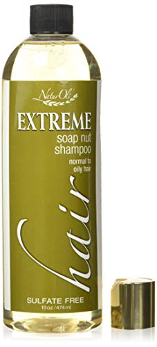 NaturOli Soap Berry Shampoo - Normal to Oily Hair, Sulfate Free, All Natural 16oz