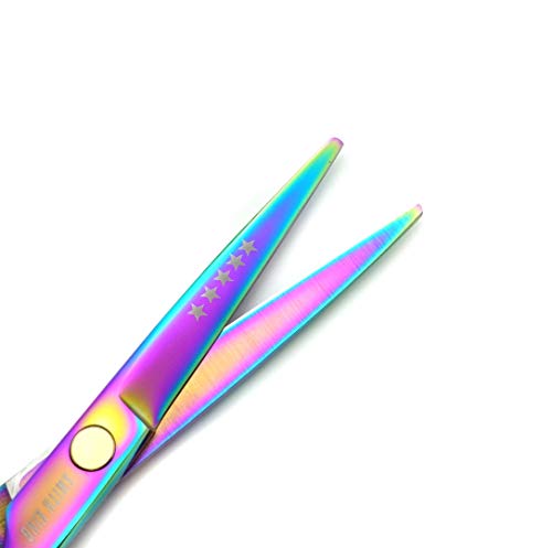 Smithking Rainbow 5.5 Inch Hair Cutting Scissors Set with Thinning Shears & Case