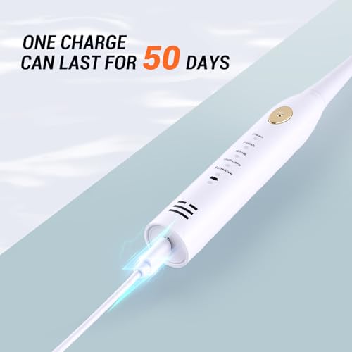 Electric Sonic Toothbrush Pack with 40 Replacement Heads & 5 Modes – Rechargeable & Waterproof