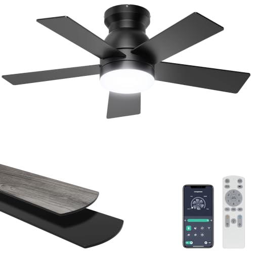 32-Inch Low Profile Ceiling Fan with Lights - Black, Remote & App Control