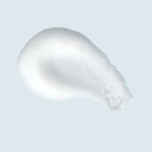 TIZO Foaming Facial Cleanser 4oz Gentle Skin Care for Soft, Supple Skin