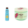 Hawaiian Tropic Everyday Active Clear Spray Sunscreen SPF 30, 6oz & After Sun Body Butter with Coconut Oil, 8oz