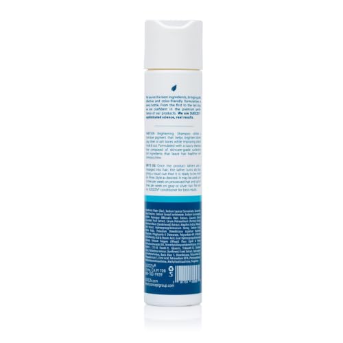 BlondeAmbition Brightening Sulfate-Free Hair Shampoo - Travel Size 10.1 Fl Oz - Safe for Color & Gray Hair - For Men & Women