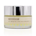 Secura Moisturizer Cream, 59431900, 3oz Tube (each)