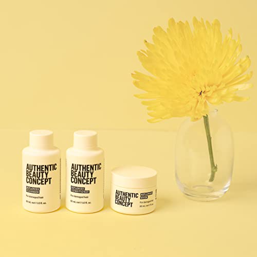 Authentic Beauty Concept Replenish Conditioner | Damaged Hair | Seals Cuticle of Damaged Hair | Vegan & Cruelty-free | Silicone-free