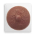 Temporary Areola Nipple Tattoos - Realistic Flat 3D Look for Mastectomy Recovery - Olive / Medium (Pack of 10)